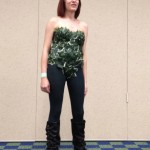 pghcon2012-095